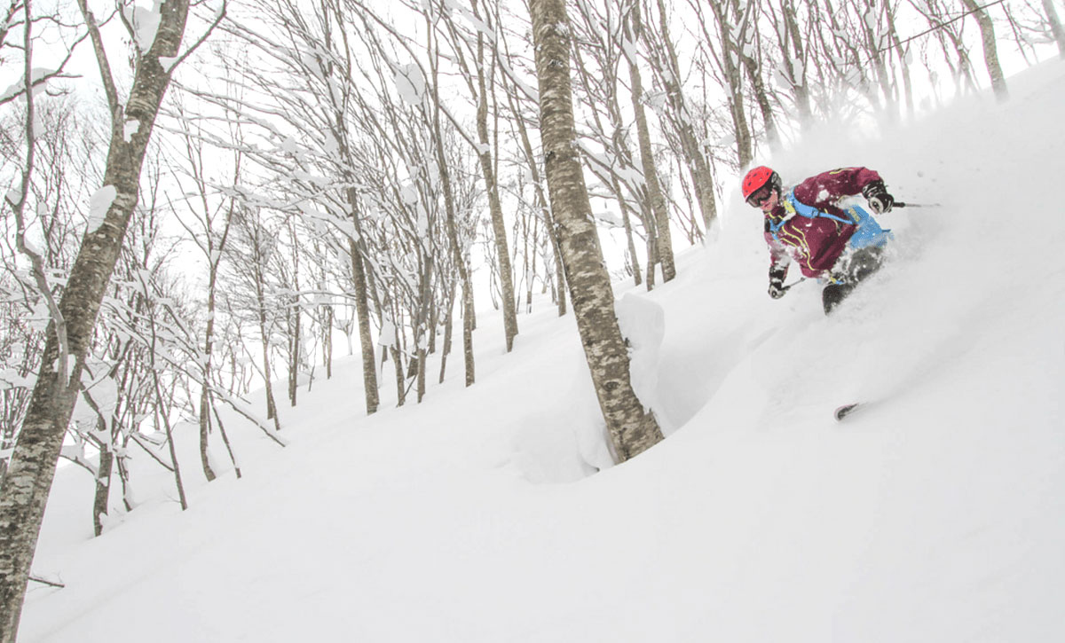 score fresh tracks in hakuba with a car