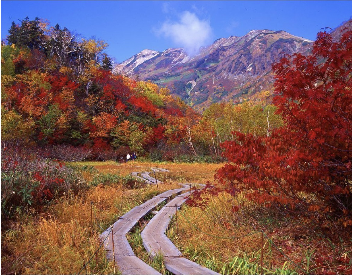 Autumn in Hakuba - Tsugaike Kogen